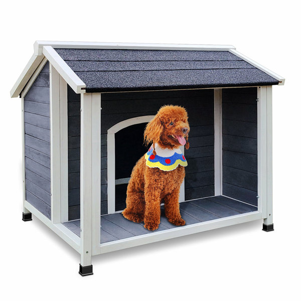 35 inch hot sale dog crate